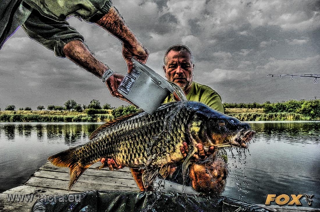 MeetCarp Romanian Awards 2013 - 1010068hdrmode2-2.jpg